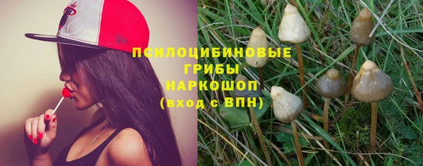 тгк Абинск