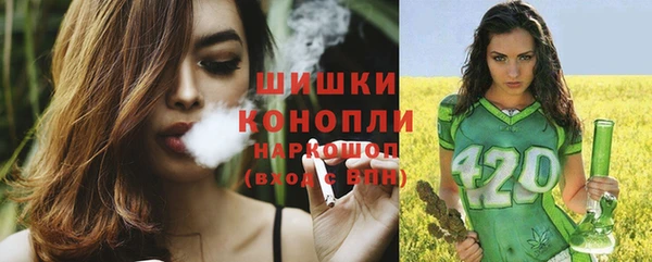 прущие грибы Новокубанск